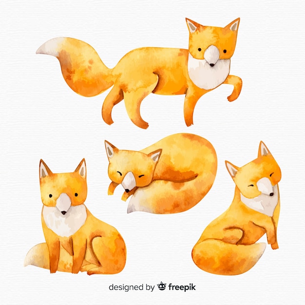 Ensemble de style aquarelle de renards