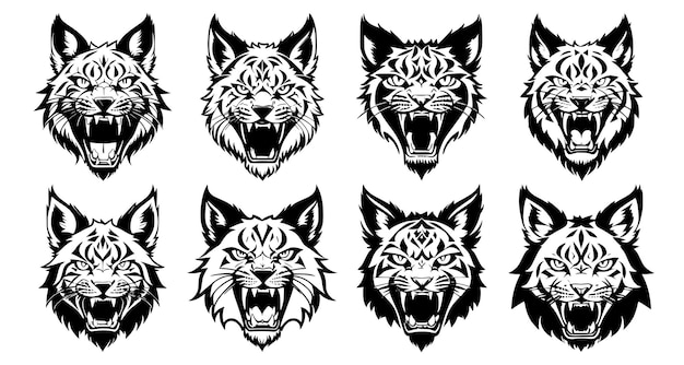 Ensemble de têtes de lynx à bouche ouverte et crocs dénudés avec différentes expressions de colère du museau Symboles pour emblème de tatouage ou logo isolé sur fond blanc