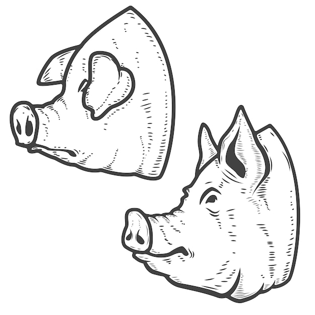 Vecteur ensemble de têtes de porc sur fond blanc. la viande de porc. élément pour, étiquette, emblème, signe, affiche. illustration.