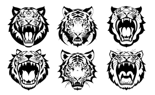 Ensemble de têtes de tigre avec bouche ouverte et crocs dénudés avec différentes expressions de colère du museau Symboles pour emblème de tatouage ou logo isolé sur fond blanc