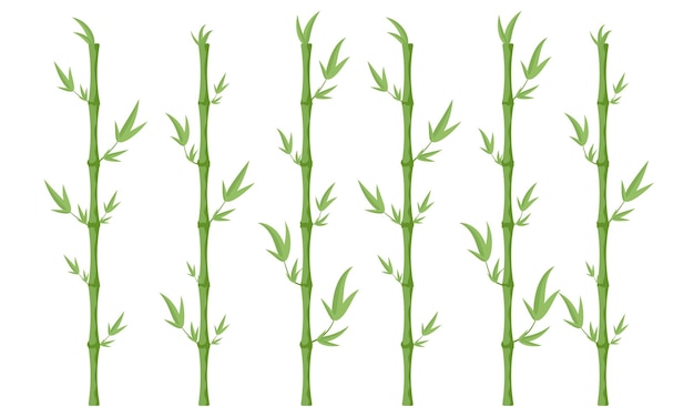 Vecteur ensemble de tiges de bambou illustration vectorielle