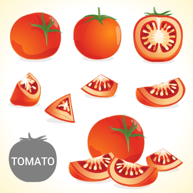 Ensemble de tomates au format vectoriel de différents styles