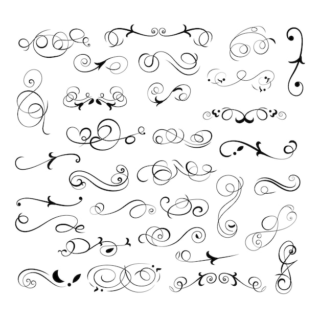 Ensemble De Tourbillons Floraux Vectoriels Isolés Sur Fond Blanc Lignes Noires S'épanouissent Cadres