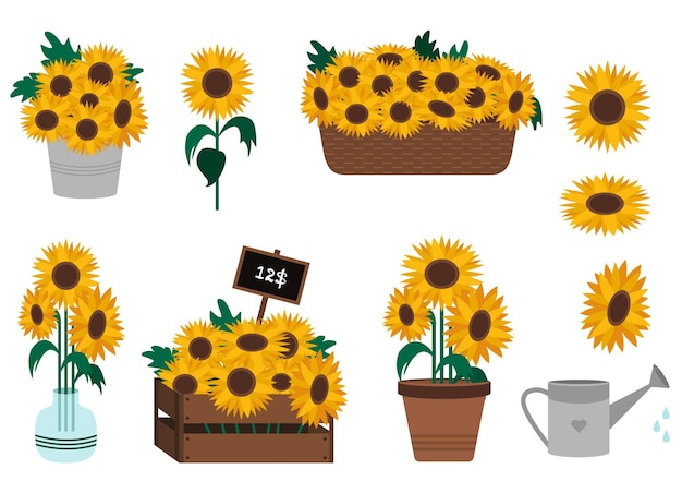 Ensemble De Tournesols Dans Des Conteneurs Difficiles Illustration Vectorielle