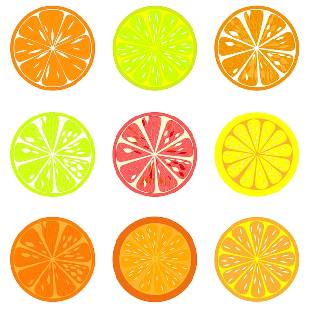 Ensemble De Tranches D'agrumes De Pamplemousse Orange Citron Vert Et Citron Illustration Vectorielle