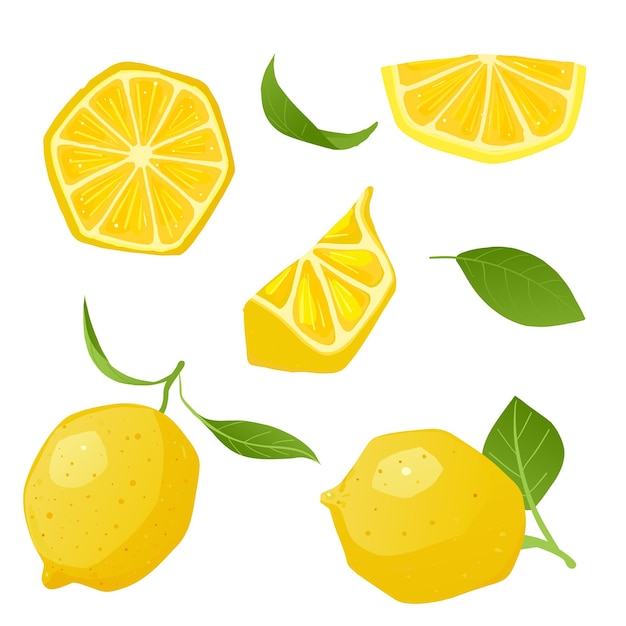 Vecteur ensemble de tranches de citron citron fruit et feuille sur fond blanc illustration vectorielle