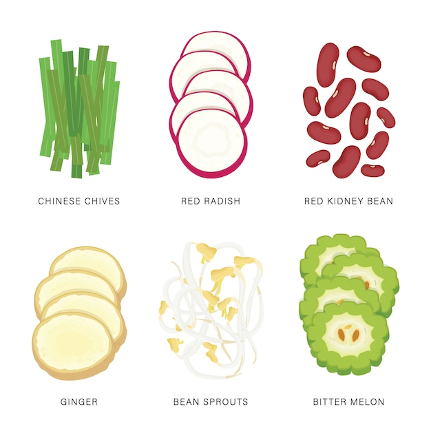 Ensemble de tranches de légumes. Illustration d'élément isolé de nourriture biologique et saine.