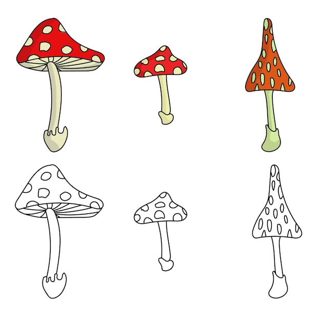 Un Ensemble De Trois Agarics Tue-mouches En Couleur Et Contours Champignons Dangereux Lumineux