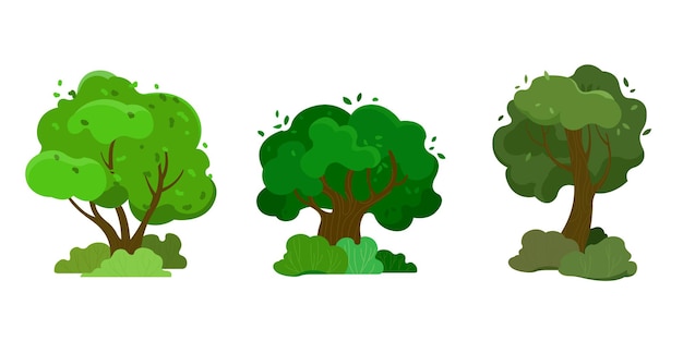 Ensemble De Trois Arbres à Couronne Verte