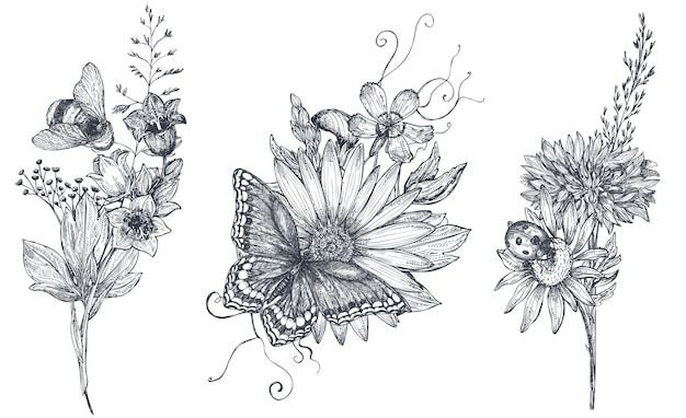 Vecteur ensemble de trois bouquets floraux vectoriels avec des herbes dessinées à la main en noir et blanc, des fleurs sauvages et des insectes, papillon, abeille, dans le style de croquis.