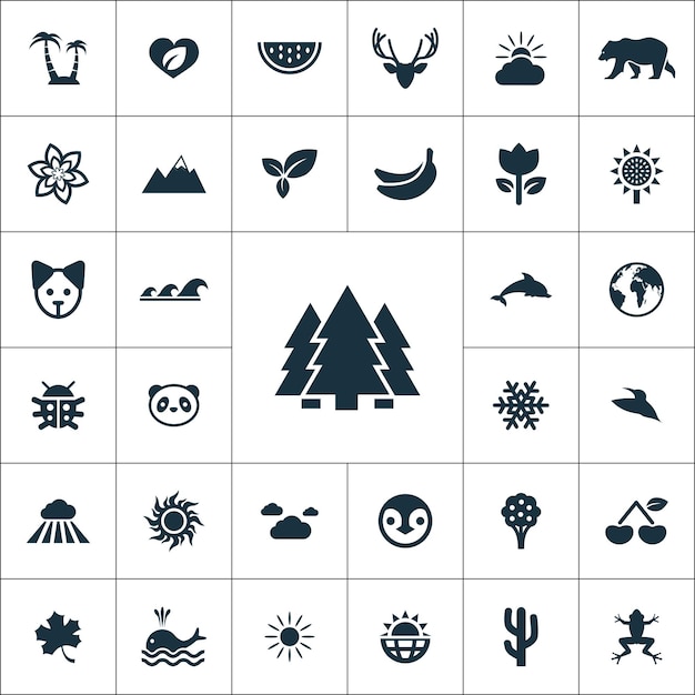 Vecteur l'ensemble universel des icônes de la nature