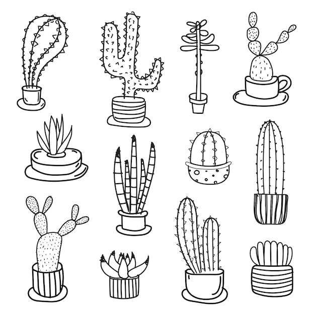 Vecteur ensemble de vecteur de cactus doodle dessinés à la main