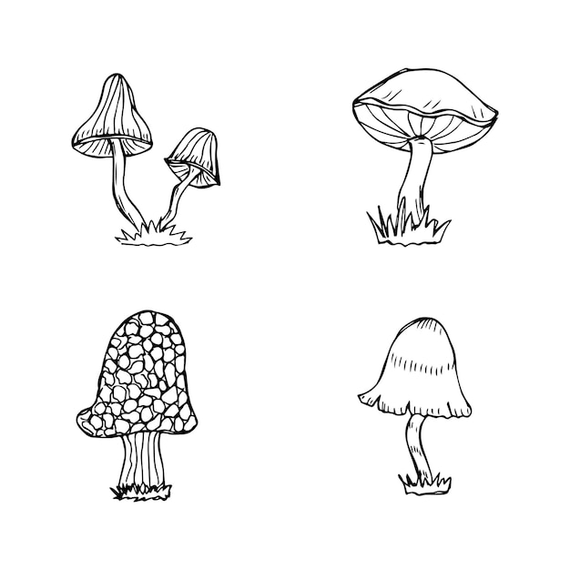 Ensemble de vecteur noir et blanc de champignons dessinés à la main