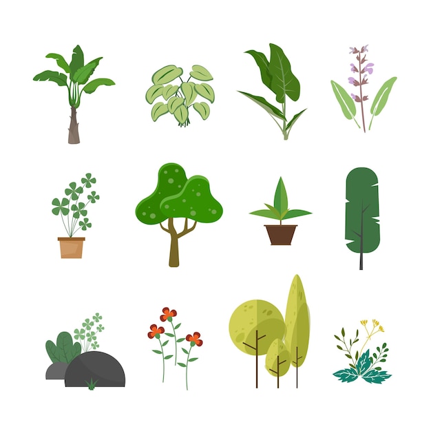 Ensemble De Vecteur De Plantes De Jardin