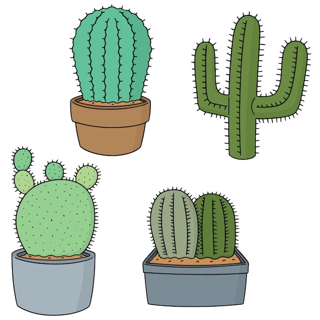 Ensemble De Vecteurs De Cactus