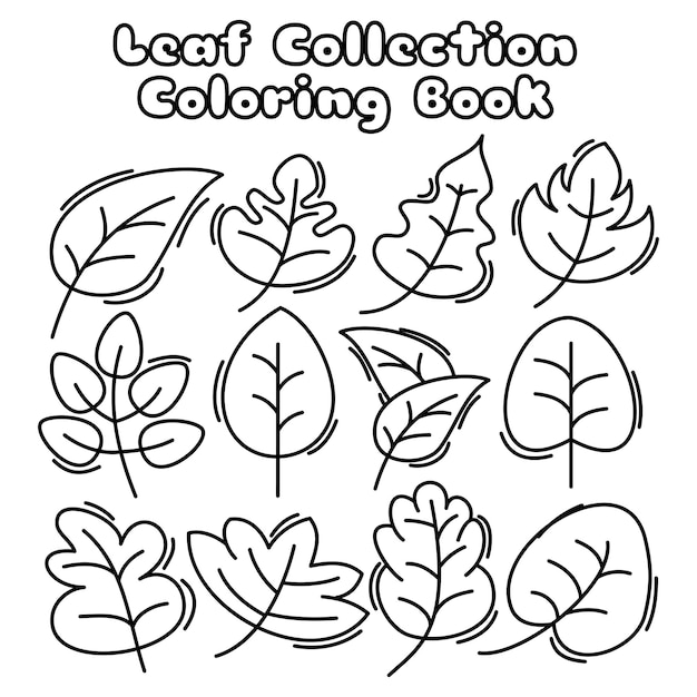 Ensemble de vecteurs de collection de feuilles d'automne livre de coloriage