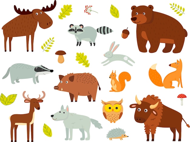 Ensemble de vecteurs de couleur d'animaux des bois fond isolé. Une mousse, un ours, un cerf, un bison, un blaireau, un renard, un hérisson, un hibou, un lapin, un raton laveur, un loup.