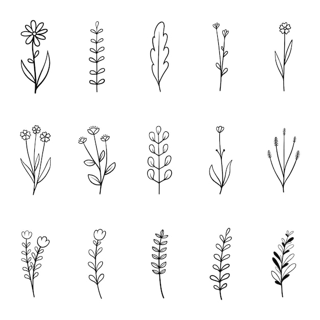 ensemble de vecteurs dessinés à la main de plantes