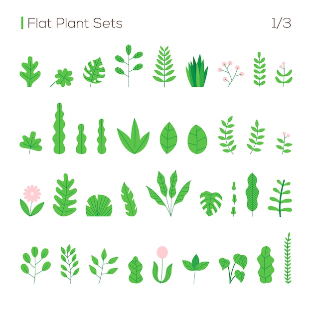 Ensemble De Vecteurs De Différentes Feuilles Et Plantes Dans Un Style Plat