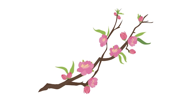 Ensemble De Vecteurs De Fleurs De Pêches De Dessins Animés Avec Branche D'arbre De Bourgeon De Feuille De Fleur Vecteur De Fleurs De Cerisier Printemps