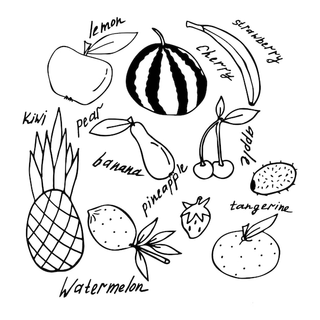 Ensemble de vecteurs de fruits dans un style doodle. Illustration vectorielle