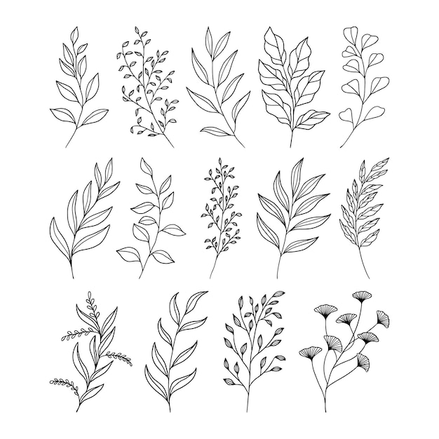 Ensemble de vecteurs d'illustration des feuilles