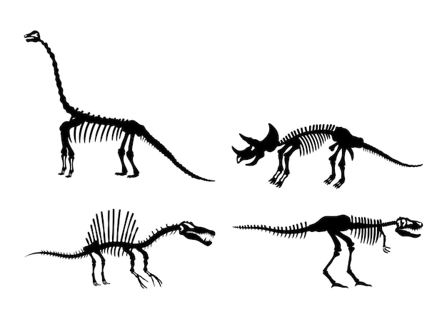 Ensemble de vecteurs d'illustration de silhouette de squelette de dinosaure