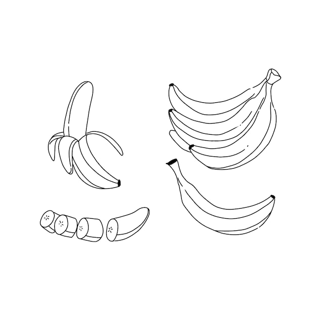 ensemble de vecteurs d'illustrations de doodle dessinés à la main à la banane