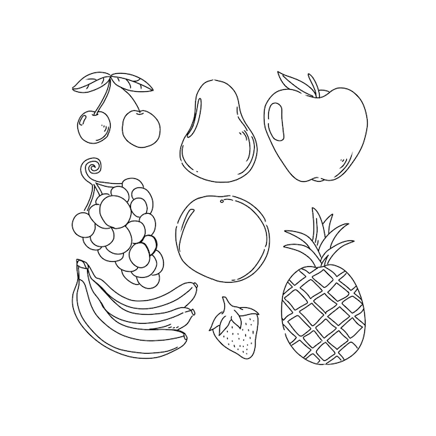 Vecteur ensemble de vecteurs d'illustrations de doodle dessinés à la main de fruits