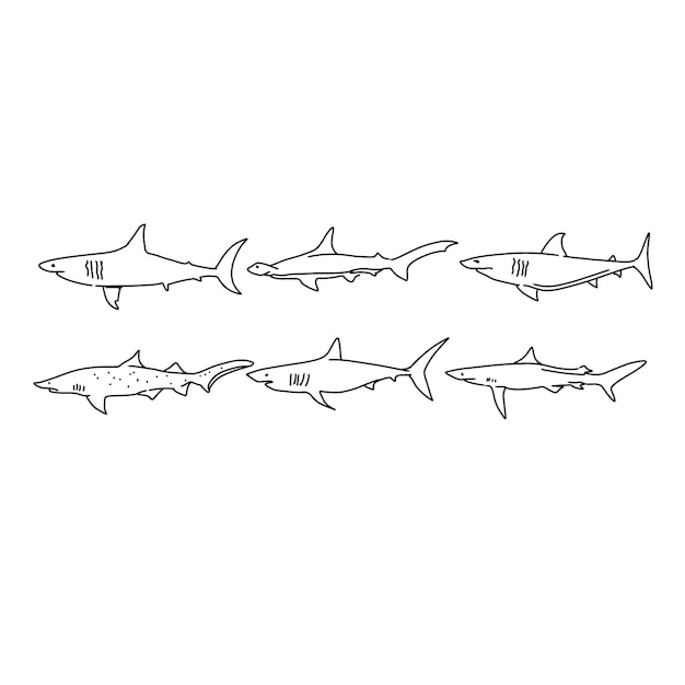 Ensemble De Vecteurs D'illustrations De Doodle Dessinés à La Main De Requin