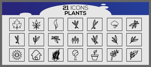 Ensemble de vecteurs de plantes dessinés à la main Ensemble d'icônes de plantes différentes Ensemble de plantes ornementales