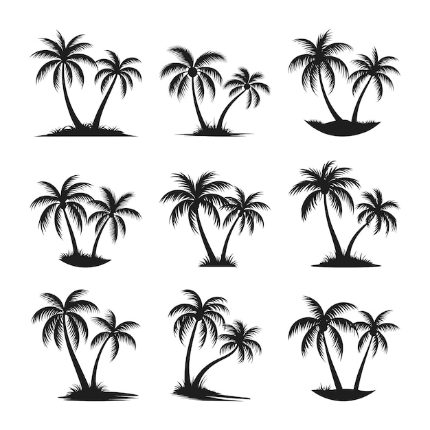 Ensemble de vecteurs de silhouette de palmier élégants pour la conception tropicale et d'été