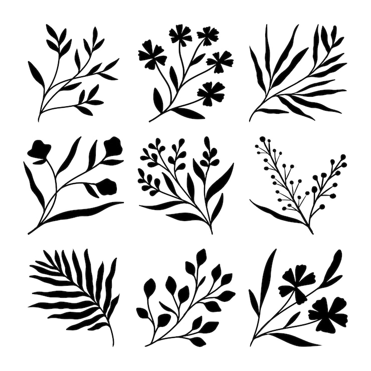 Vecteur ensemble de vecteurs de silhouettes de branches et de feuilles