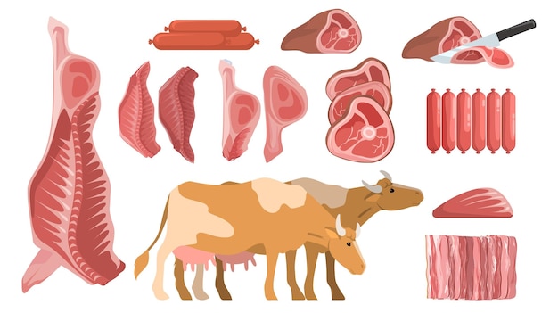 Ensemble De Vecteurs De Viande De Boeuf Cru Frais De Dessin Animé