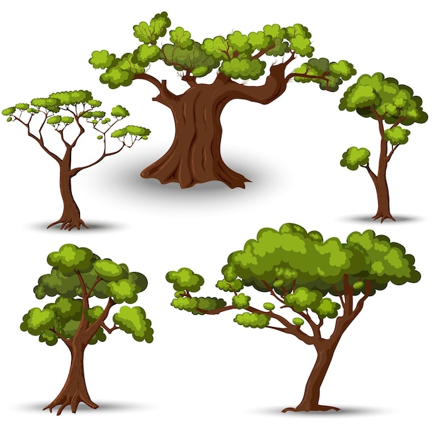 Ensemble vectoriel d'arbres et d'arbustes de dessins animés