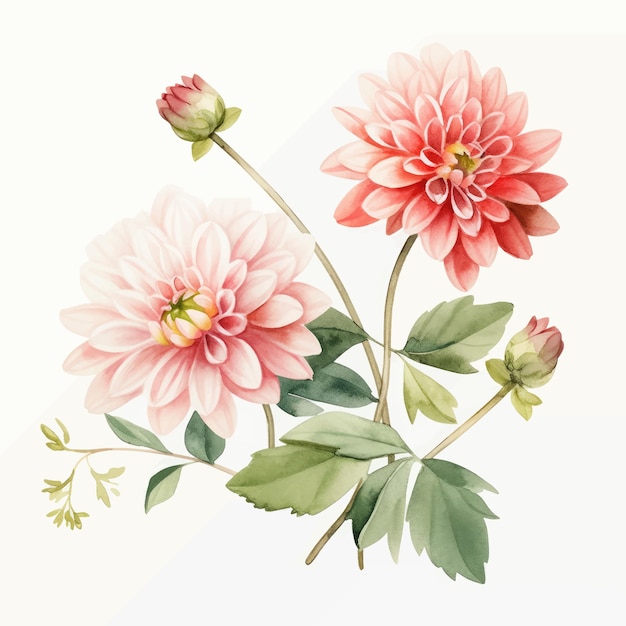 Ensemble vectoriel d'assortiment de fleurs et de feuilles à l'aquarelle