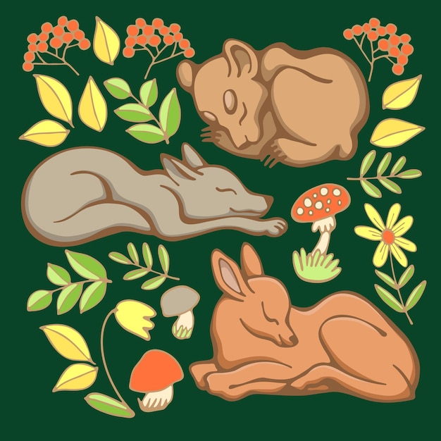 Vecteur ensemble vectoriel de bébés animaux et plantes de la forêt endormie illustration cerf ours et louveteau