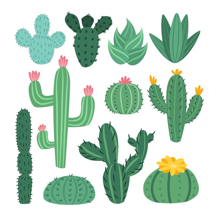 Vecteur ensemble vectoriel de cactus mignons, d'aloès et de feuilles. collection de cactus exotiques. décor naturel.