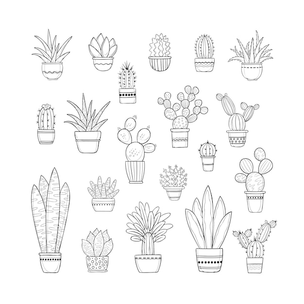 Ensemble Vectoriel De Cactus En Pots Contours Noirs Isolés Sur Fond Blanc