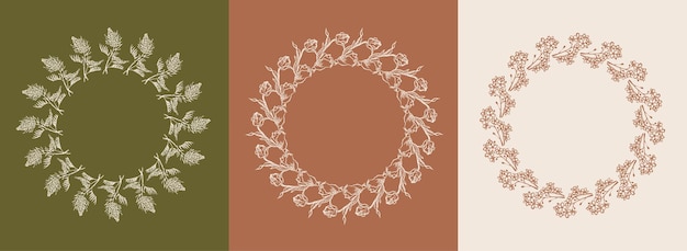 Ensemble vectoriel de cadres de conception et d'illustrations botaniques dans un style boho linéaire simple