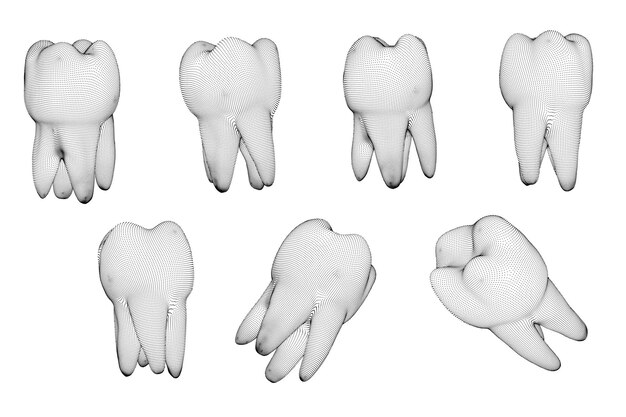Vecteur ensemble vectoriel de dents 3d pour la médecine dentaire isolée sur blanc