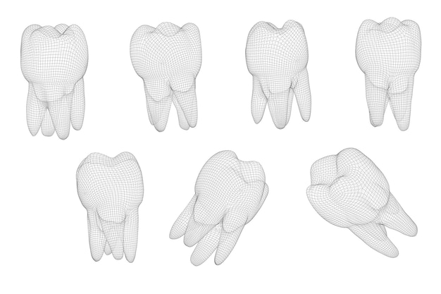 Ensemble Vectoriel De Dents 3d Pour La Médecine Dentaire Isolée Sur Blanc