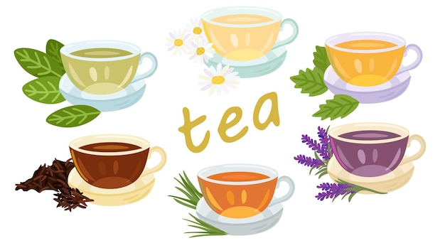 Ensemble vectoriel de différents thés dans des tasses isolées sur fond blanc