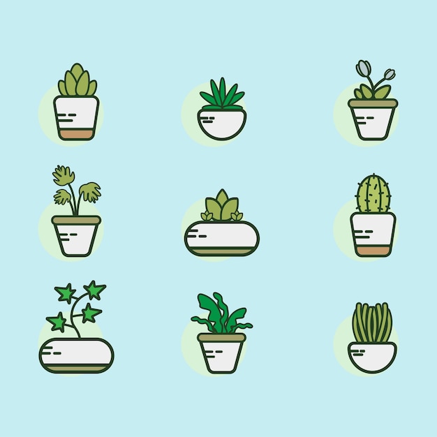 Ensemble Vectoriel De Diverses Belles Plantes Dans Diverses Formes De Pots Parfaits Pour L'illustration Et L'animation