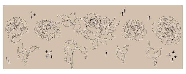 Ensemble Vectoriel De Fleurs Branches Et Feuilles Ensemble Botanique Isolé Ensemble Floristique Botanique Contour Fleurs Roses Bourgeons Ouverts Fleurs Minimalistes Isolées