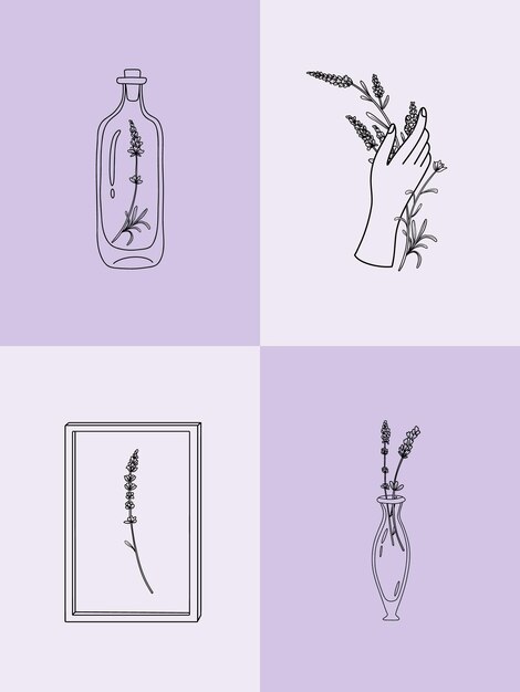 Ensemble vectoriel d'illustrations botaniques dans un ensemble d'illustrations de fleurs de lavande de style linéaire minimal
