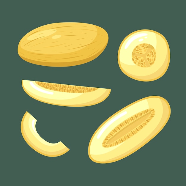 Ensemble Vectoriel D'illustrations De Melon Fruits D'été