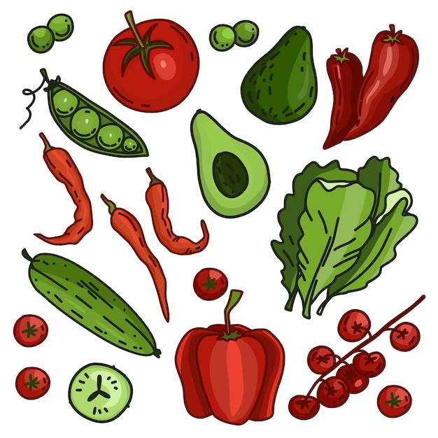Vecteur ensemble vectoriel de légumes pour salade tomate concombres poivre feuilles vertes pois laitue avocat