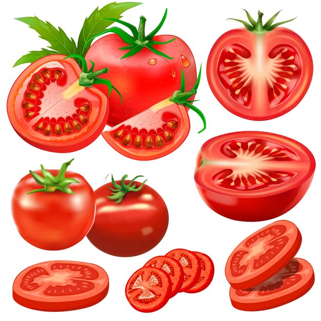 Ensemble vectoriel libre de vecteurs réalistes de tomates pleines et tranchées