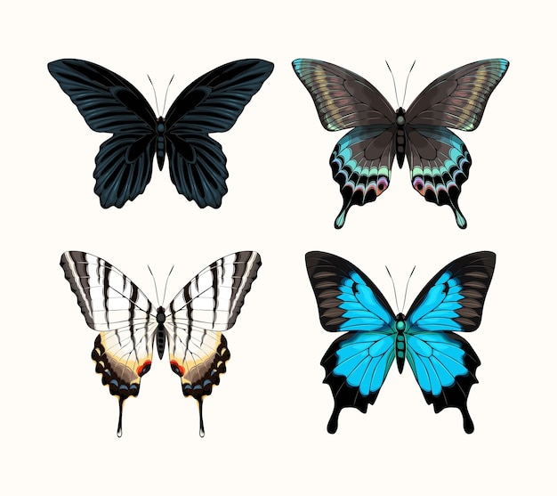 Ensemble vectoriel de papillons tropiques très détaillés